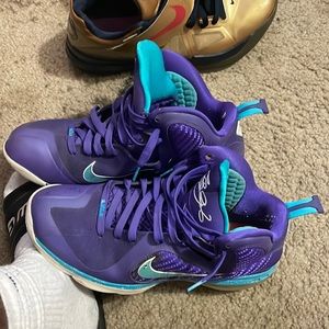 Lebron 9 Summit Lake Hornet Size 11